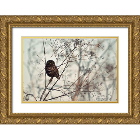 Look at Me Gold Ornate Wood Framed Art Print with Double Matting by Avramescu, Emilian
