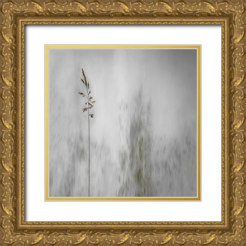 blade of grass Gold Ornate Wood Framed Art Print with Double Matting by Claes, Gilbert