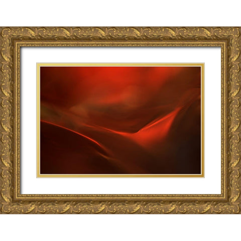 The red valley Gold Ornate Wood Framed Art Print with Double Matting by Westum, Heidi