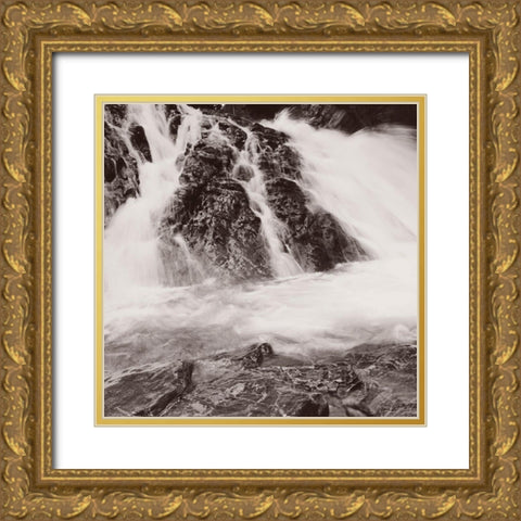 Simmenfalle-Lenk-Switzerland Gold Ornate Wood Framed Art Print with Double Matting by Butcher, Dave