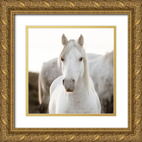 Horse Gold Ornate Wood Framed Art Print with Double Matting by Llovet, Jorge