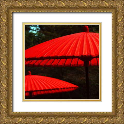 Red protection Gold Ornate Wood Framed Art Print with Double Matting by Weber, Matthias