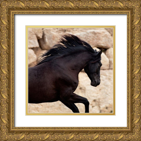 Black Power Gold Ornate Wood Framed Art Print with Double Matting by Llovet, Jorge