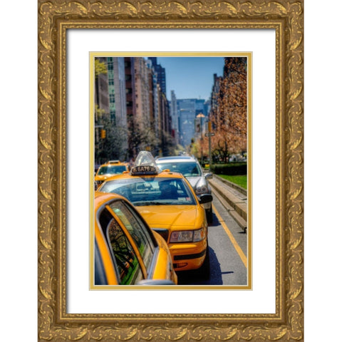 Spring Colors Gold Ornate Wood Framed Art Print with Double Matting by Terrible, Aurelien