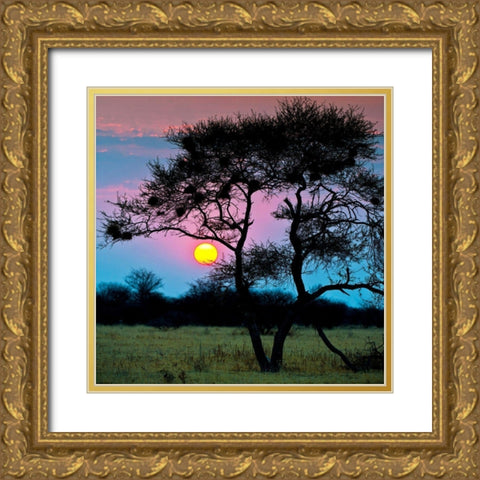 End of the Day Gold Ornate Wood Framed Art Print with Double Matting by Brommelhorster, Ulf