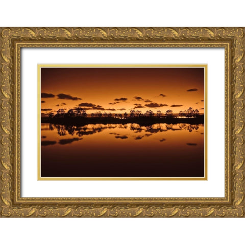 Symetrie Gold Ornate Wood Framed Art Print with Double Matting by Bertrande, Arnaud
