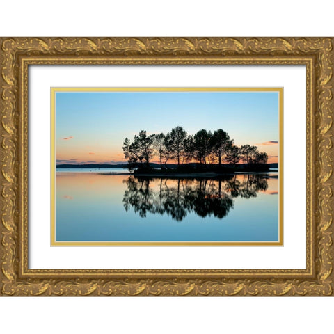 Recto - Verso Gold Ornate Wood Framed Art Print with Double Matting by Bertrande, Arnaud