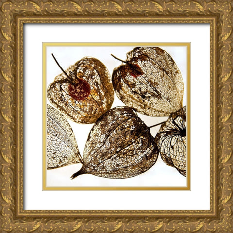 Evanescence III Gold Ornate Wood Framed Art Print with Double Matting by Weber, Matthias