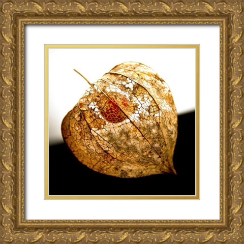 Evanescence V Gold Ornate Wood Framed Art Print with Double Matting by Weber, Matthias