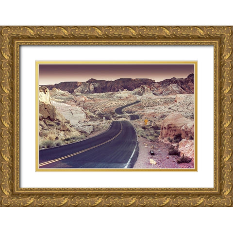 Snake Road Gold Ornate Wood Framed Art Print with Double Matting by Lichtenwalter, Tom