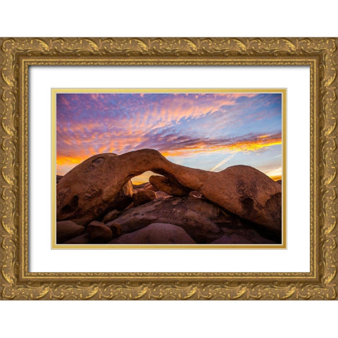 Stonebridge Gold Ornate Wood Framed Art Print with Double Matting by Lichtenwalter, Tom