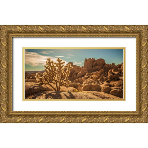 Desert Foreground Gold Ornate Wood Framed Art Print with Double Matting by Lichtenwalter, Tom