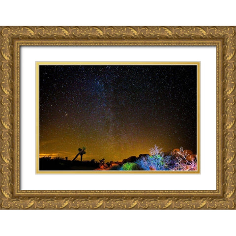 Stars over Joshua Gold Ornate Wood Framed Art Print with Double Matting by Lichtenwalter, Tom