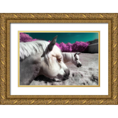 Fantasy Horses - Infrared Photography  Gold Ornate Wood Framed Art Print with Double Matting by Gee, Tonee