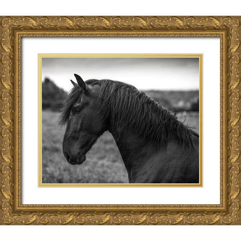 Strong Look Gold Ornate Wood Framed Art Print with Double Matting by Llovet, Jorge