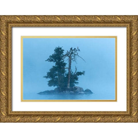 Insel im Klockesjoen Gold Ornate Wood Framed Art Print with Double Matting by Seidel, Leo