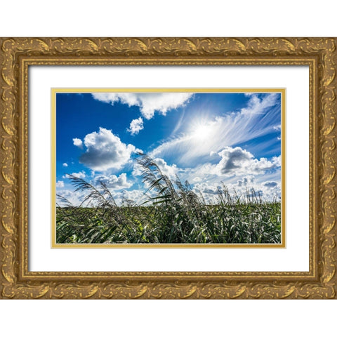 Cloud Painting Gold Ornate Wood Framed Art Print with Double Matting by Lichtenwalter, Tom