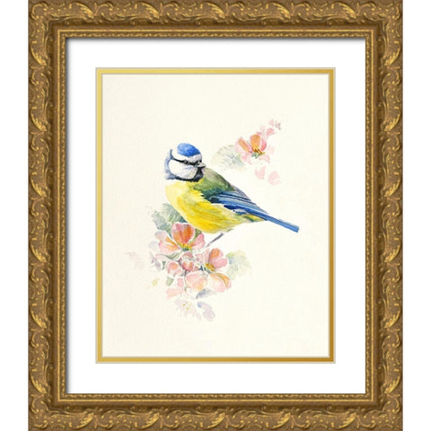 Blue Tit Gold Ornate Wood Framed Art Print with Double Matting by Mayes, Hilary