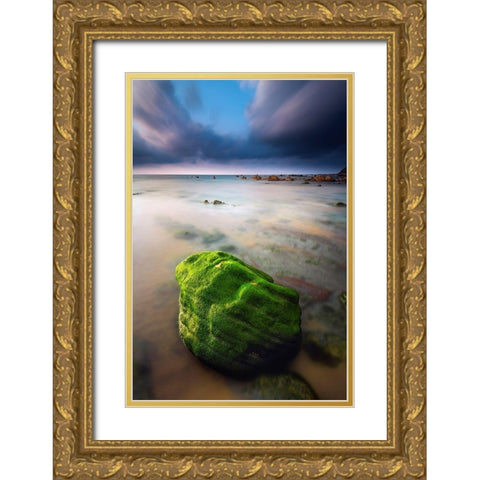 Barrika I Gold Ornate Wood Framed Art Print with Double Matting by Bertrande, Arnaud