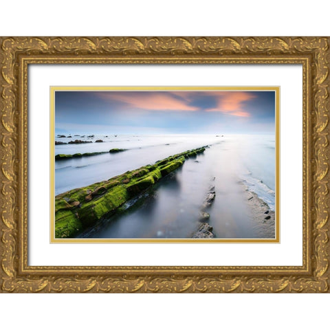 Barrika II Gold Ornate Wood Framed Art Print with Double Matting by Bertrande, Arnaud