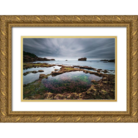 Biarritz I Gold Ornate Wood Framed Art Print with Double Matting by Bertrande, Arnaud