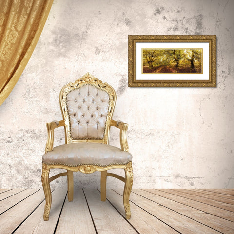 Kellerwald Gold Ornate Wood Framed Art Print with Double Matting by Fischer, Rolf