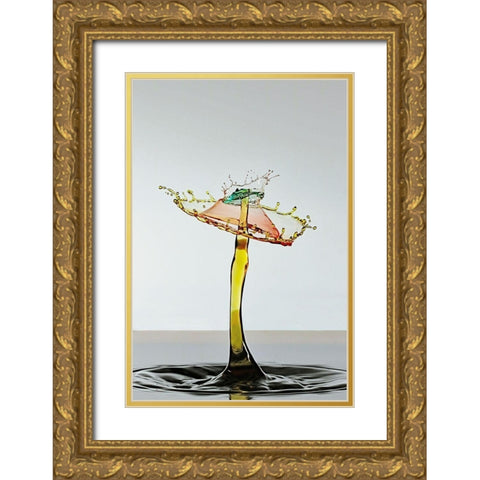 Le carousel Gold Ornate Wood Framed Art Print with Double Matting by Sanchez, Manuel