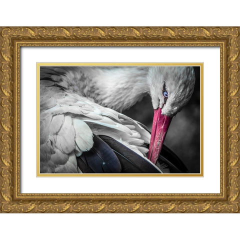 The Stork Gold Ornate Wood Framed Art Print with Double Matting by Ronin