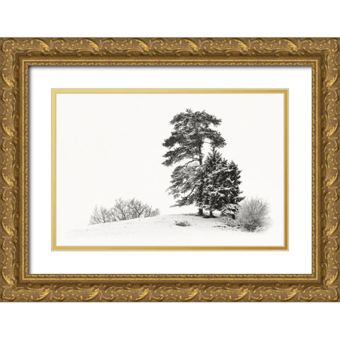 Solitar II Gold Ornate Wood Framed Art Print with Double Matting by Steger, Uwe