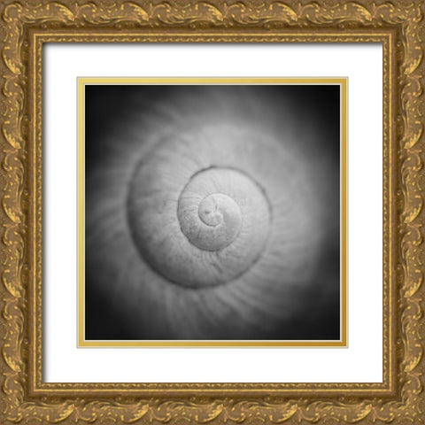 Mystic Gold Ornate Wood Framed Art Print with Double Matting by Steger, Uwe