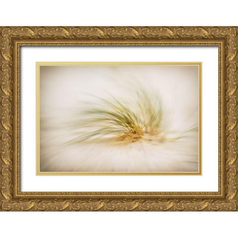 Sandsturm Part II Gold Ornate Wood Framed Art Print with Double Matting by Steger, Uwe