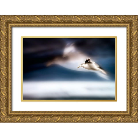 Dreamfly Gold Ornate Wood Framed Art Print with Double Matting by Steger, Uwe