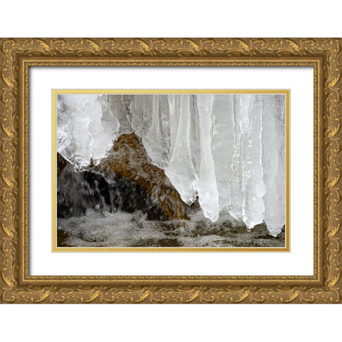 Frozen Gold Ornate Wood Framed Art Print with Double Matting by Steger, Uwe