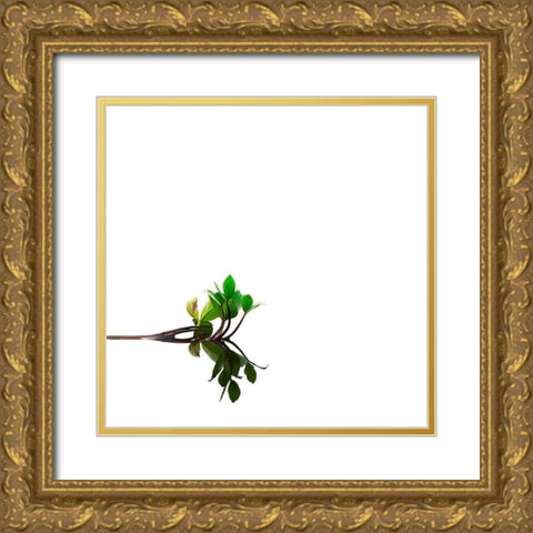 Softly Dream Part II Gold Ornate Wood Framed Art Print with Double Matting by Steger, Uwe