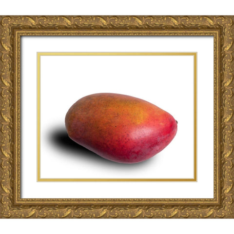 Mango Gold Ornate Wood Framed Art Print with Double Matting by Brosius, Volker