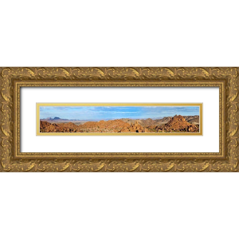 Damaraland Gold Ornate Wood Framed Art Print with Double Matting by Hillert, Peter