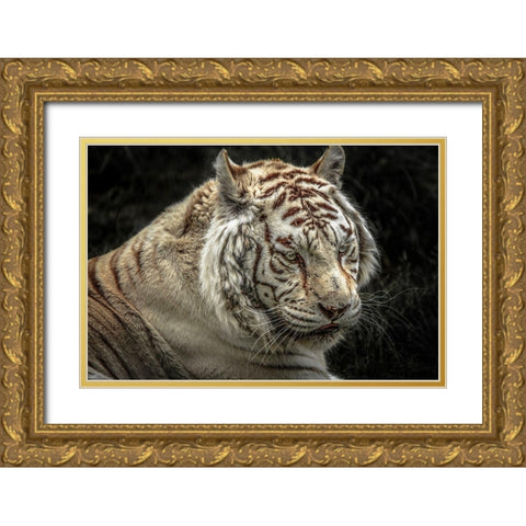 The Lygar II Gold Ornate Wood Framed Art Print with Double Matting by Ronin