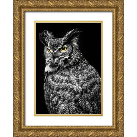 Wisdom Owl II Gold Ornate Wood Framed Art Print with Double Matting by Ronin