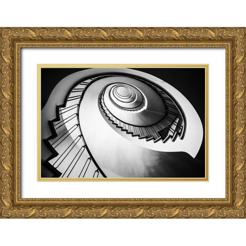 Parrot Staircase Gold Ornate Wood Framed Art Print with Double Matting by Ronin