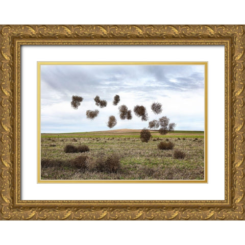 Pause Número II Gold Ornate Wood Framed Art Print with Double Matting by Vallinas Prieto, Miguel