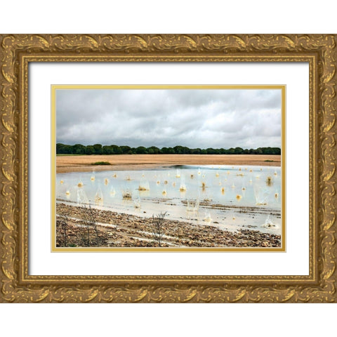 Pause Número XI Gold Ornate Wood Framed Art Print with Double Matting by Vallinas Prieto, Miguel