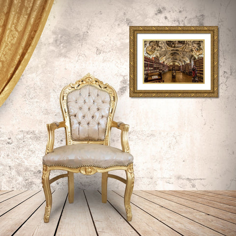 Beautiful old Library Gold Ornate Wood Framed Art Print with Double Matting by Ronin