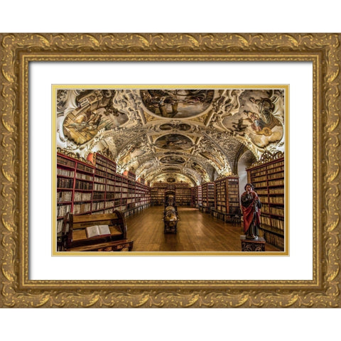 Beautiful old Library Gold Ornate Wood Framed Art Print with Double Matting by Ronin