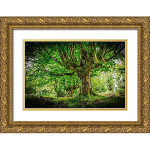 Otzarreta Forest I Gold Ornate Wood Framed Art Print with Double Matting by Ronin
