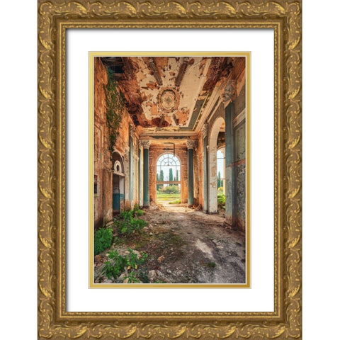 Terminus Gold Ornate Wood Framed Art Print with Double Matting by Haker, Matthias