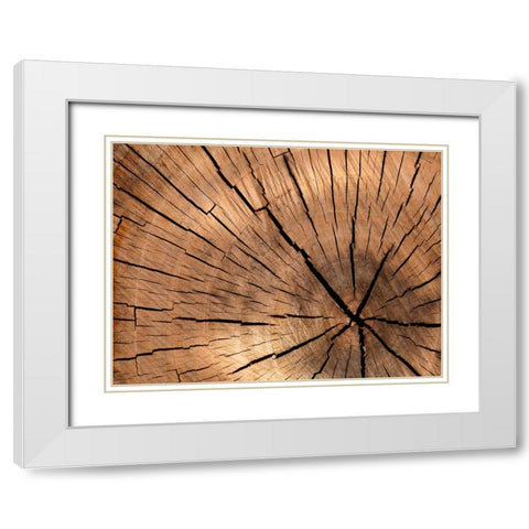 Abstract 4 White Modern Wood Framed Art Print with Double Matting by Lee, Rachel