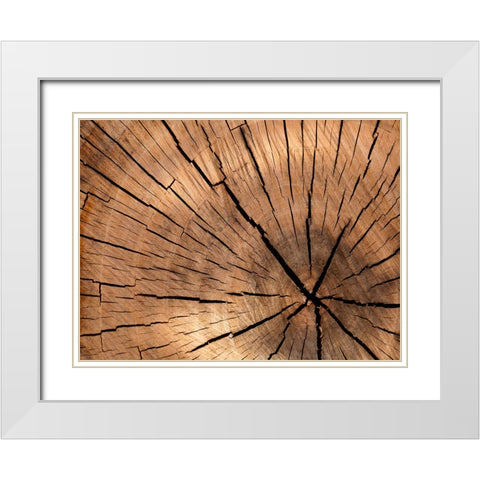 Abstract 4 White Modern Wood Framed Art Print with Double Matting by Lee, Rachel