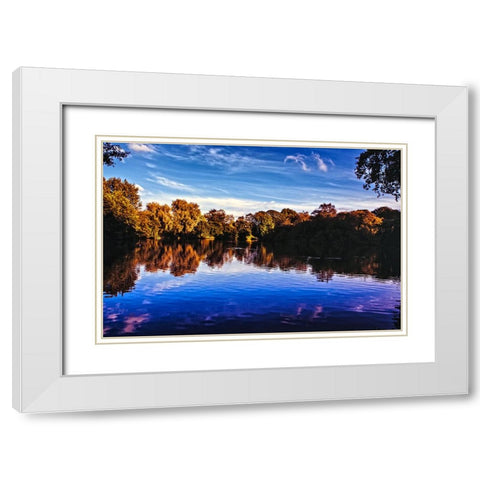 Afternoon Pond White Modern Wood Framed Art Print with Double Matting by Lee, Rachel