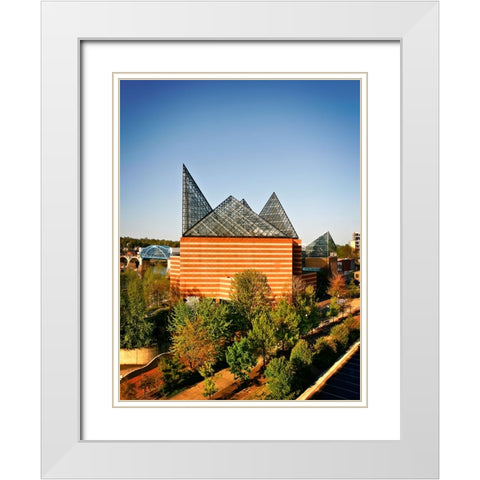 Aquarium From Above White Modern Wood Framed Art Print with Double Matting by Lee, Rachel