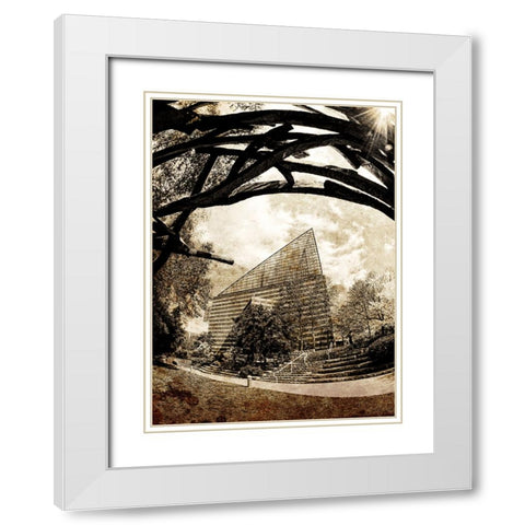 Aquarium Sun Grunge White Modern Wood Framed Art Print with Double Matting by Lee, Rachel
